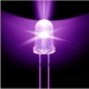LED T-1 3/4 5mm  Water Clear - Purple